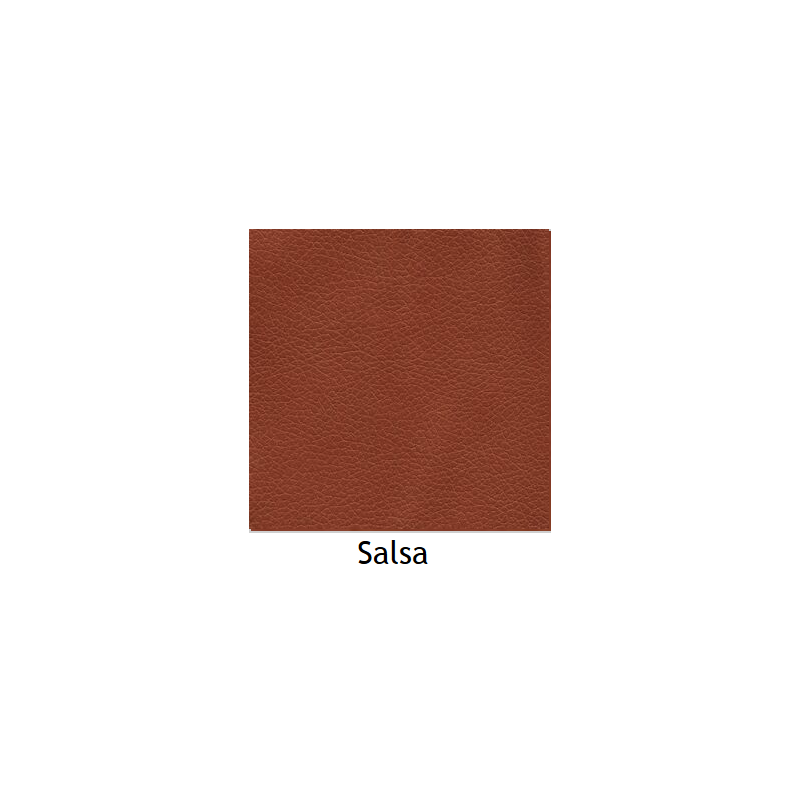 Brisa Salsa