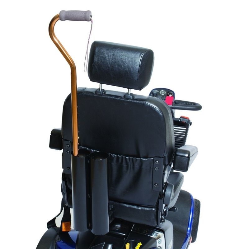 Double cane holder