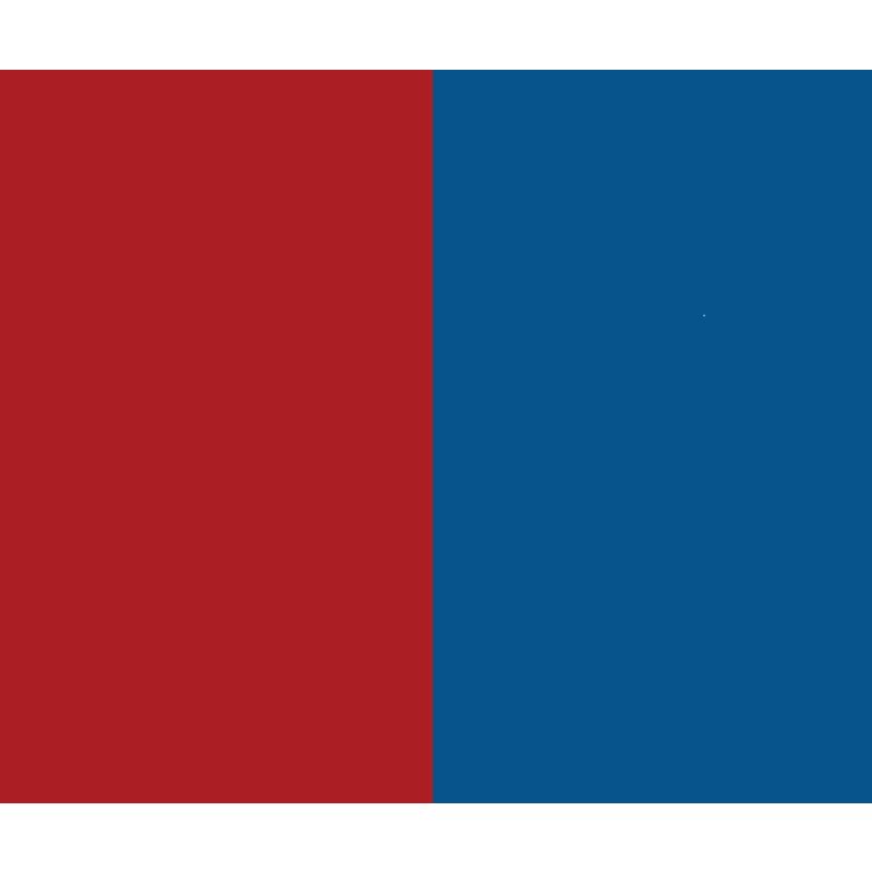 Buzzaround XL 4 Wheel Red and Blue Color